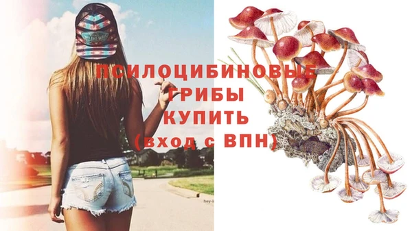 стафф Белокуриха